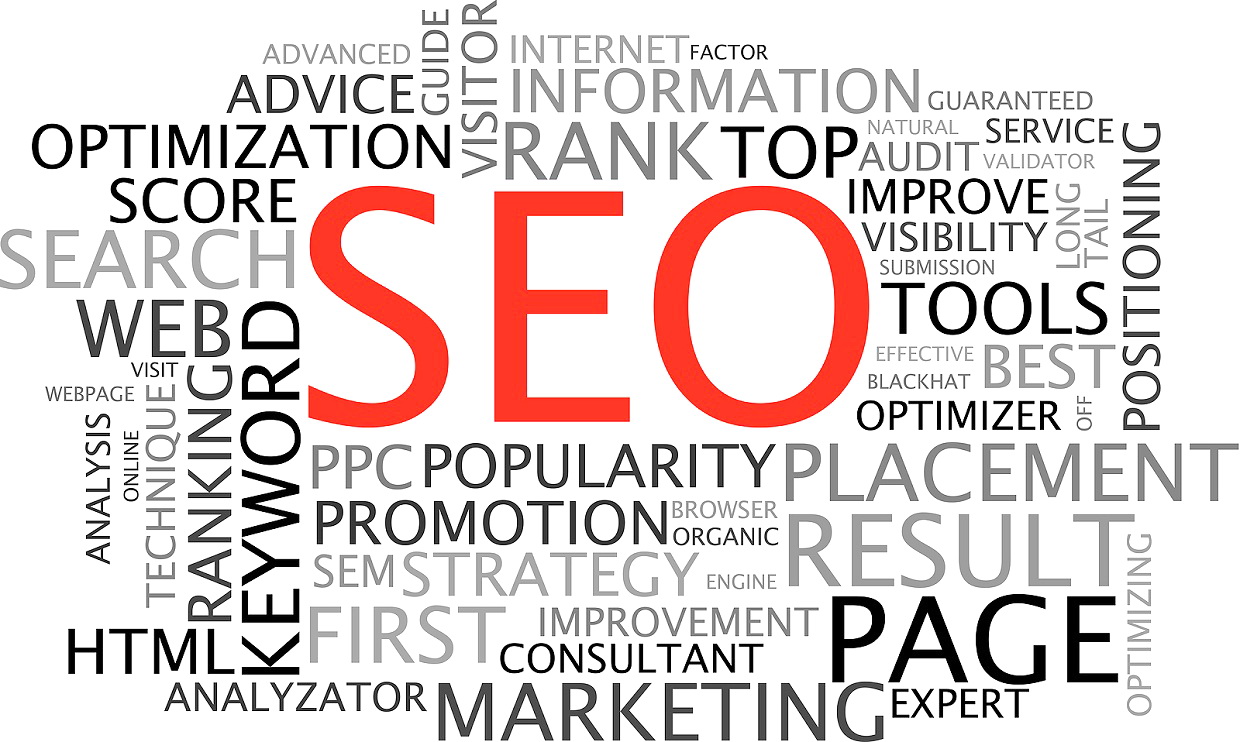 search engine optimization guide for dummies