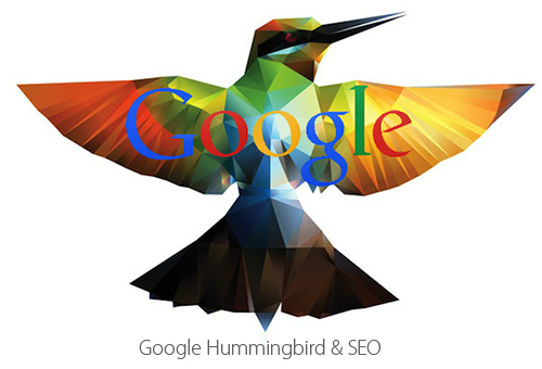 the humming bird update and its impact on SEO