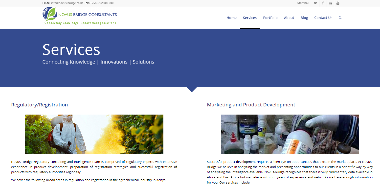 Novus Bridget Web Design Project - Services Page